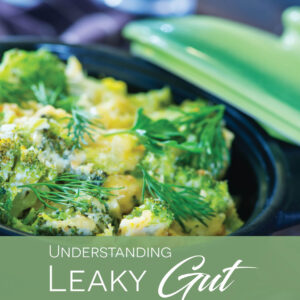 The Ultimate Gut Health Trilogy: Basics • Leaky Gut • Candidiasis