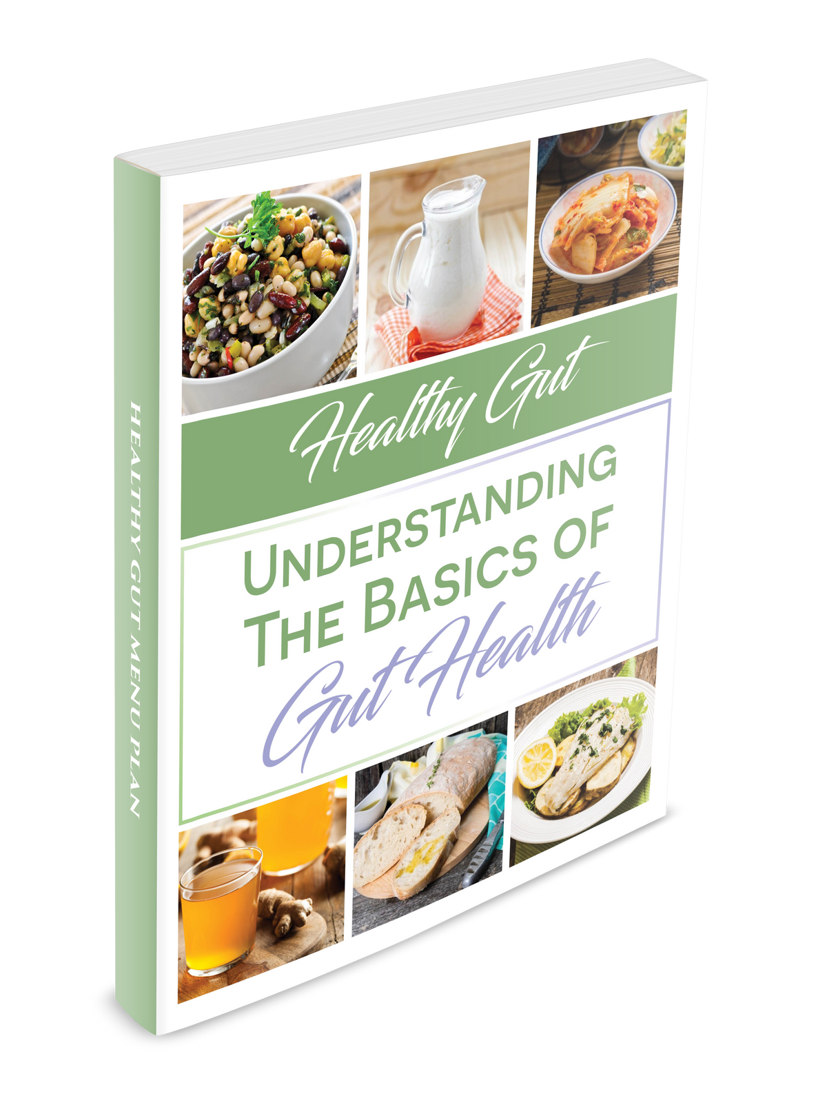 Understanding the Basics of Gut Health: Includes 15 Collagen Broth Recipes